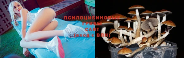 spice Арсеньев