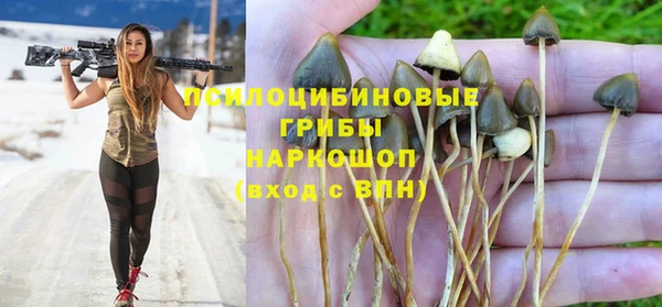 мет Армянск