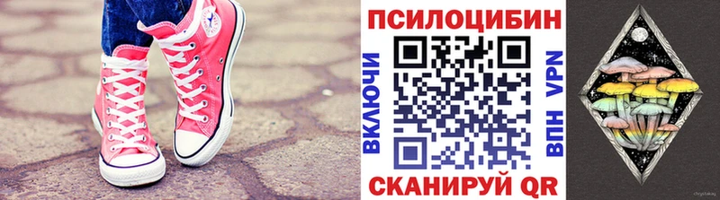 Псилоцибиновые грибы Psilocybine cubensis  наркошоп  Снежногорск 